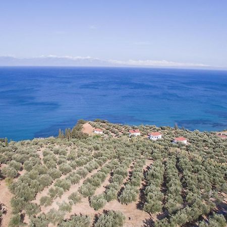 Κτήμα Παπαβασιλόπουλος 2 -  Βίλα Koróni Εξωτερικό φωτογραφία