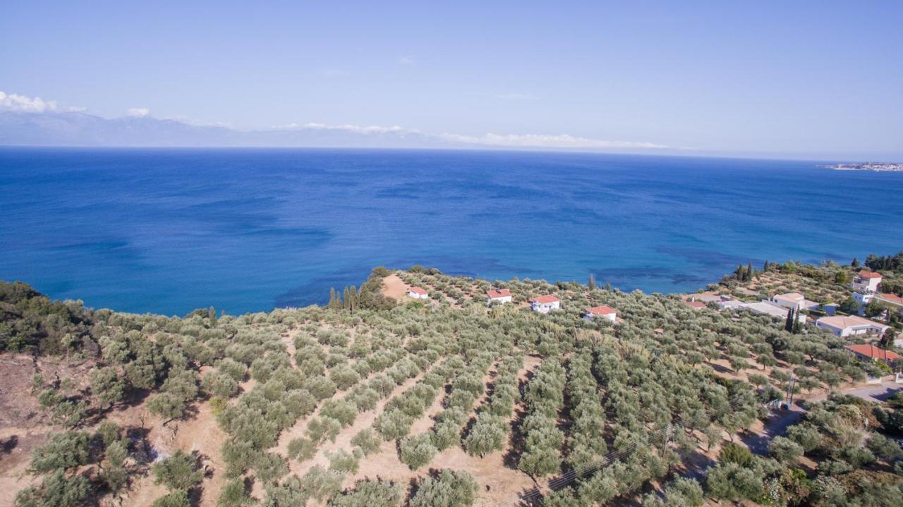 Κτήμα Παπαβασιλόπουλος 2 -  Βίλα Koróni Εξωτερικό φωτογραφία